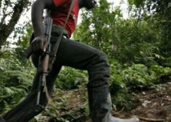 Béni: une position militaire cible d&rsquo;un assaut des miliciens maï-maï à cantine