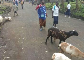 Nord-Kivu: Voici la vraie cause de l&rsquo;altercation entre les soldats Congolais et Rwandais à Buhumba