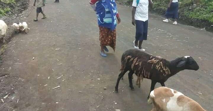 Nord-Kivu: Voici la vraie cause de l&rsquo;altercation entre les soldats Congolais et Rwandais à Buhumba