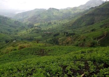 Flash: trois journalistes et un technicien modulateur foudroyés à Walikale