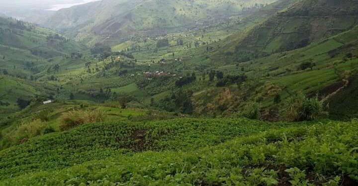 Flash: trois journalistes et un technicien modulateur foudroyés à Walikale