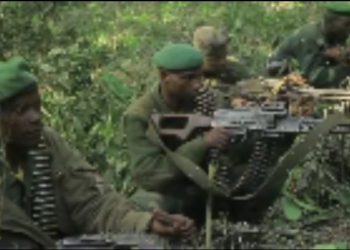 Ituri : cinq rebelles de l’ADF tombent dans une offensive des FARDC