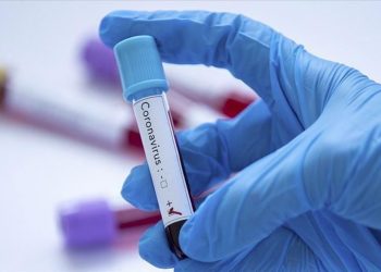 Sud-Kivu : les agents de santé sèchent  les activités à l’INRB/Bukavu