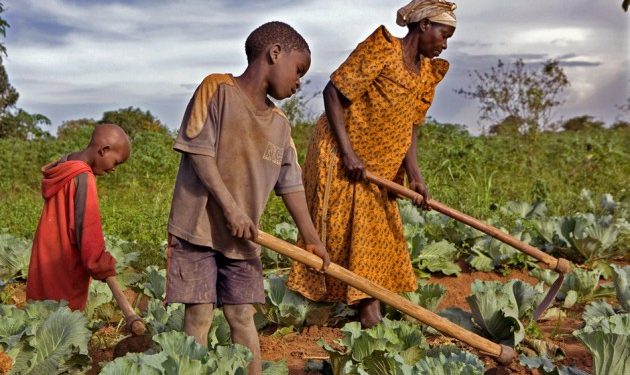 Rutsuru/Activisme des groupes armés : des habitants peinent à accéder à leurs champs dans le Bwito