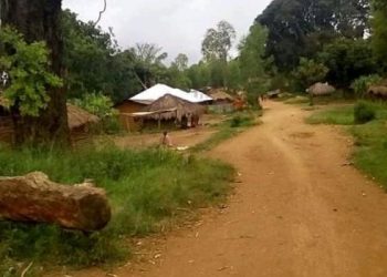 Beni: des corps des civils découverts près de Mamove