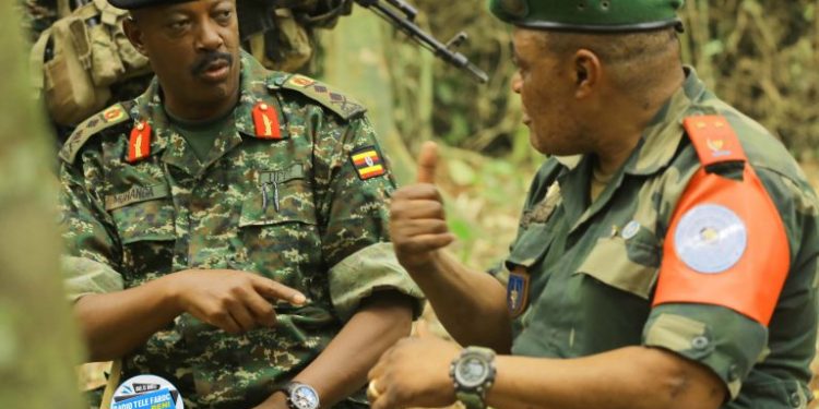 RDC-Ouganda : quel impact de la décision de la CIJ sur les opérations conjointes FARDC-UPDF ?