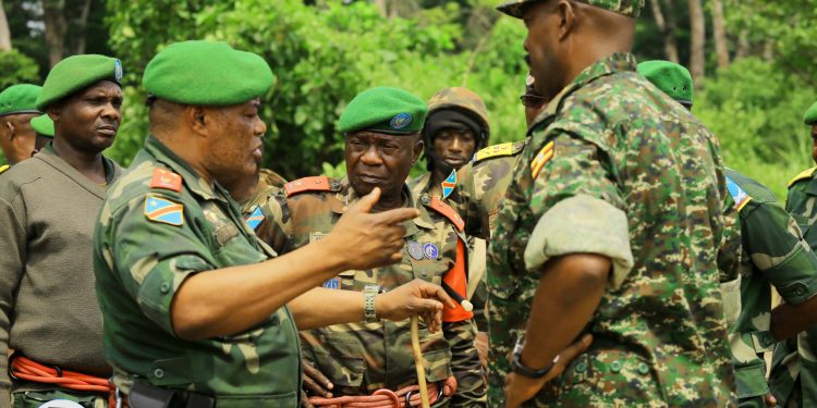 Beni: les FARDC et l’UPDF satisfaites des résultats de deux mois des opérations conjointes contre les ADF