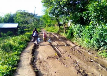 Beni : des morts dans une nouvelle incursion des rebelles de l&rsquo;ADF près d&rsquo;oicha