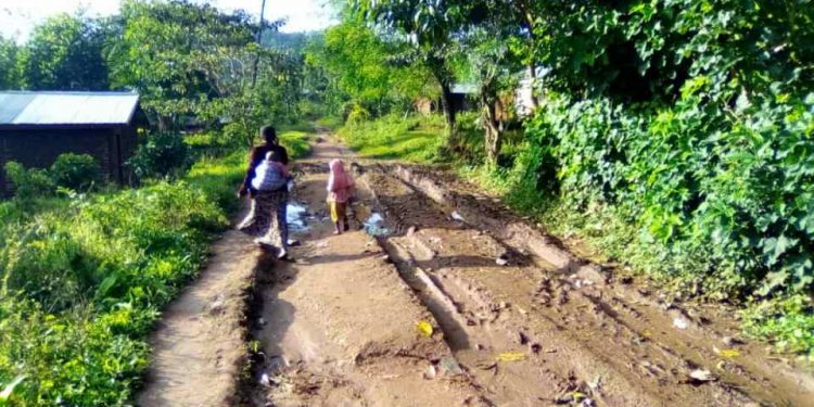 Beni : des morts dans une nouvelle incursion des rebelles de l&rsquo;ADF près d&rsquo;oicha