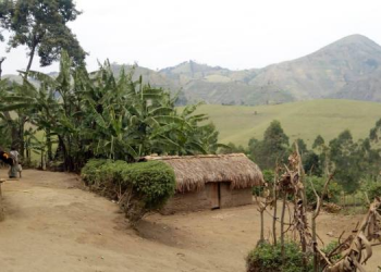 Nord-Kivu : nouveau rapt des civils à Masisi