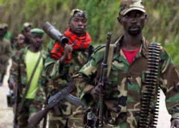 Beni : onze morts dont des rebelles de l’ADF dans une attaque contre deux villages  de Watalinga