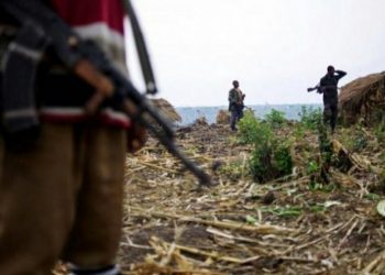Attaque du village de Guddha à Djugu : le bilan passe de neuf  à douze civils tués