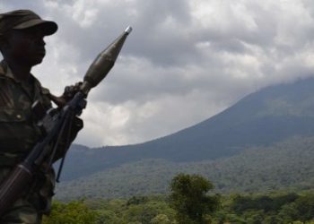 Masisi : des groupes armés contrôlent près de vingt villages de la chefferie des Bashali Mokoto (Société civile)
