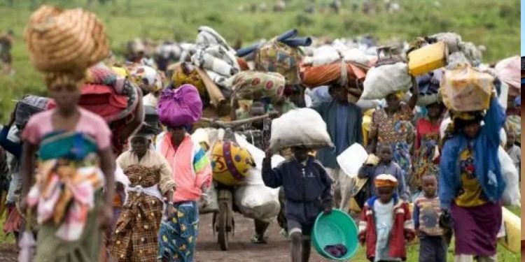 Affrontements entre FARDC et M23 à Rutshuru : le premier ministre appelé à se pencher sur la situation des déplacés de Jomba