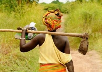 Rutshuru : des champs inaccessibles autour de Nyamilima suite à l’activisme accru des groupes armés