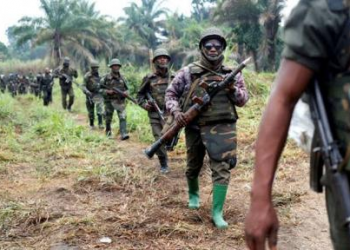 Beni : au moins trois rebelles de l’ADF neutralisés par l’armée en secteur de Rwenzori