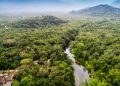 parc de Kahuzi Biega - Agora Grands-Lacs RDC : le BEIE alerte sur la prolifération des pratiques de déforestation dans les parcs nationaux de Virunga et Kahuzi-Biega