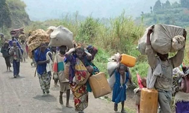Affrontements entre FARDC et M23 à Rutshuru : la société civile urge le gouvernement sur la nécessité d&rsquo;une assistance aux enfants et femmes enceintes