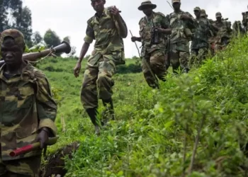 Affrontements entre FARDC et M23 à Rutshuru : deux morts et cinq blessés dans les rangs des forces congolaises (Communiqué)
