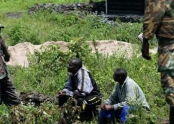 Beni : des rebelles ADF relâchent 7 personnes après près de quatre mois de captivité à Eringeti