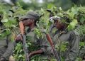 Beni : deux morts dont un chef de village dans une attaque des inconnus armés à Bashu