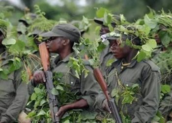 Beni : deux morts dont un chef de village dans une attaque des inconnus armés à Bashu