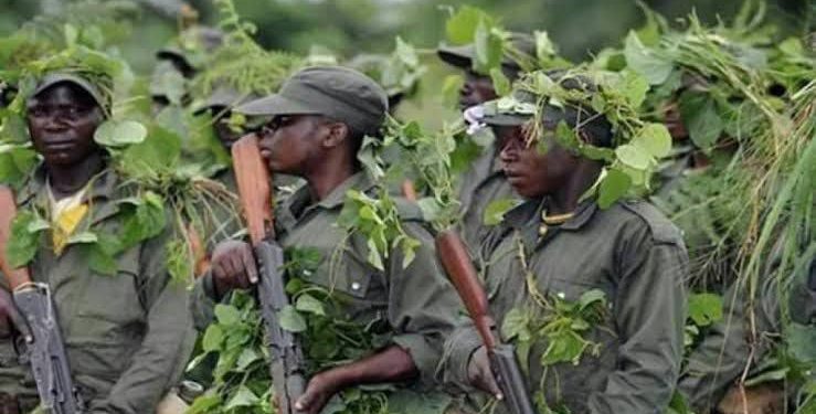 Beni : deux morts dont un chef de village dans une attaque des inconnus armés à Bashu