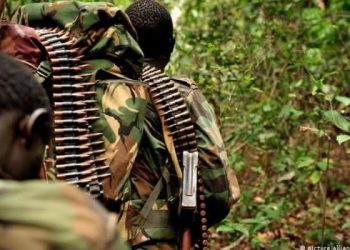 Ituri : nouvelle attaque des rebelles de l’ADF sur le tronçon routier Komanda-Mambasa