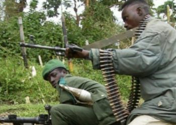 Beni : un mort dans une attaque contre une position des FARDC à Vuhovi