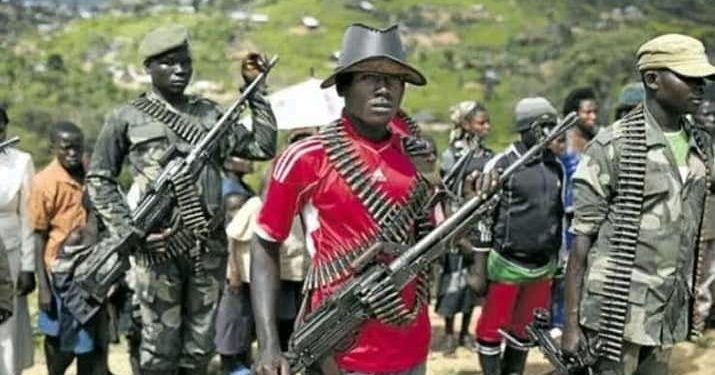 RDC : la CRDH appelle les jeunes à se désolidariser des groupes armés dont les l&rsquo;ADF dans l’Est