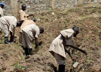 Nord-Kivu : des détenus mènent des travaux champêtres pour subvenir à leurs besoins alimentaires à la prison centrale de Lubero