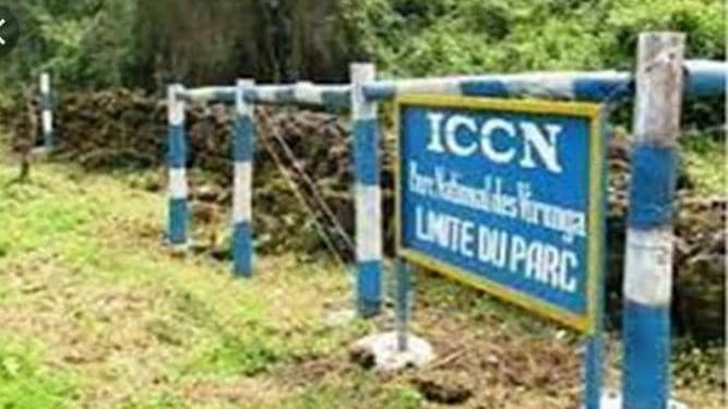 IMG-20221007-WA0076 - Agora Grands-Lacs Nord-Kivu : L’ICCN condamne les attaques contre son personnel dans le sous-secteur de Nzulo