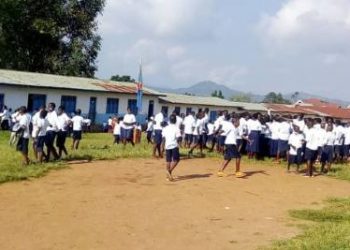 Beni : des enfants contraints à parcourir de longues distances pour se rendre dans les écoles aux environs de Ngingi