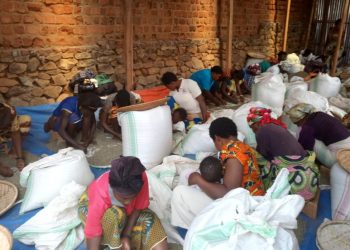 Nord-Kivu : la COPADE plaide pour l&rsquo;intégration de la femme en situation de handicap physique dans la chaîne de valeur du café