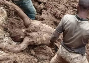 Nord-Kivu : plus de 10 morts dans des éboulements de terre à Masisi