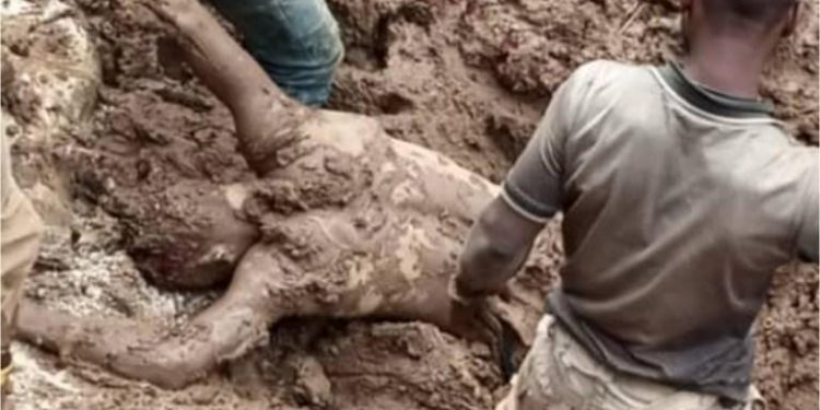 Nord-Kivu : plus de 10 morts dans des éboulements de terre à Masisi