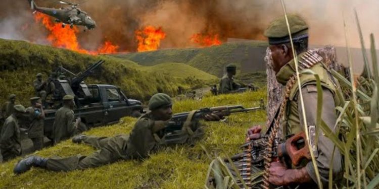 IMG-20230130-WA0049 - Agora Grands-Lacs Nord-Kivu : reprise des combats entre les FARDC et rebelles du M23 autours de Kitshanga