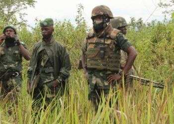 Beni : la zone de Kamwanga déclarée « zone à haut risque » par la coalition FARDC-UPDF