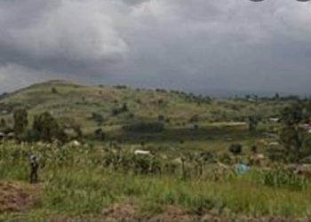 Ituri : le bilan de l&rsquo;incursion des ADF dans la chefferie de Walese-Vonkutu revu à la hausse