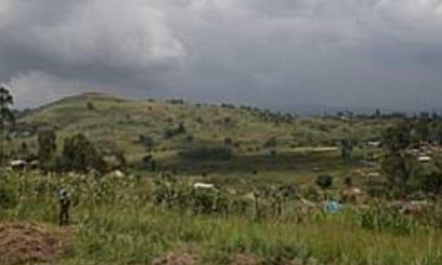 Ituri : le bilan de l&rsquo;incursion des ADF dans la chefferie de Walese-Vonkutu revu à la hausse