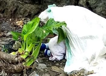 Goma : découverte macabre du corps d&rsquo;un bébé de 3 mois au quartier Ndosho