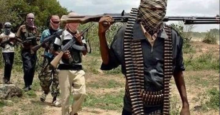 Beni : 2 terroristes ADF neutralisés dans la vallée de Mwalika par la coalition FARDC-UPDF