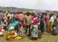 Ituri : une quarantaine de civils évadent des mains des ADF à Mambasa