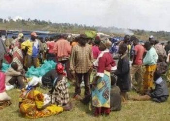 Ituri : une quarantaine de civils évadent des mains des ADF à Mambasa