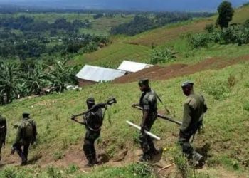 Beni : la coalition FARDC-UPDF lance une offensive contre les ADF dans la vallée de Mughalika