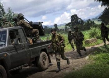 Beni : les terroristes ADF en voie de reddition après l&rsquo;intensification des opérations Shujaa