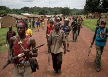 Ituri : les miliciens appelés à déposer les armes pour réintégrer la communauté
