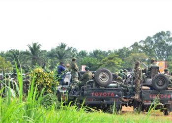 Beni : 2 rebelles ADF neutralisés et 3 enfants récupérés par la coalition FARDC-UPDF à Mwalika