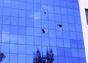 Goma : qui a cassé les vitres du Campus du lac ce mercredi ?