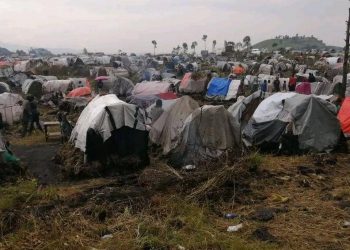 Masisi : les déplacés confrontés à des difficultés à Bashali